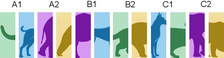 Informaci&oacute;n Incompleta,  ELIA - Escuela Libre del Idioma Alem&aacute;n, curso y clases de alem&aacute;n, Puebla, Cholula