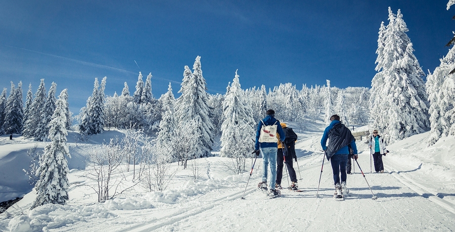 Selva Negra,  ELIA - Escuela Libre del Idioma Alem&aacute;n, curso y clases de alem&aacute;n, Puebla, Cholula